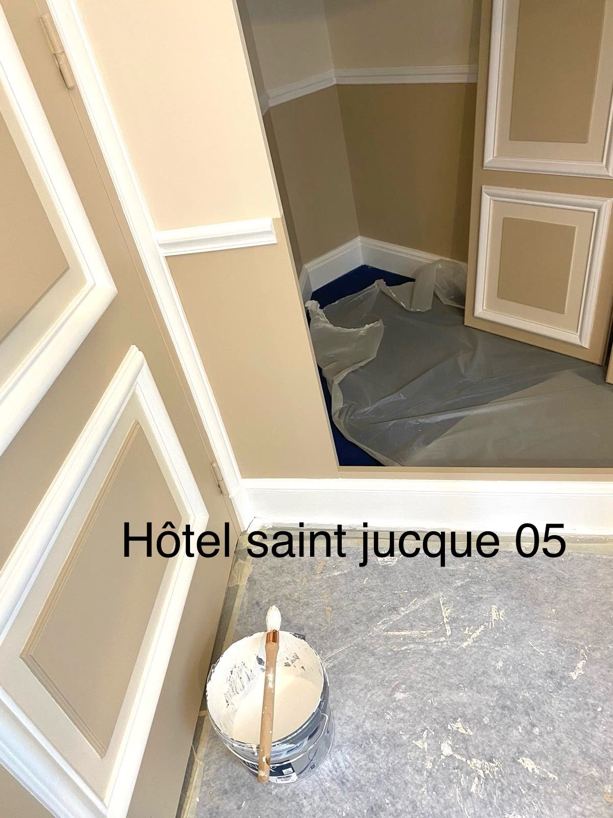 Peinture et moulures décoratives